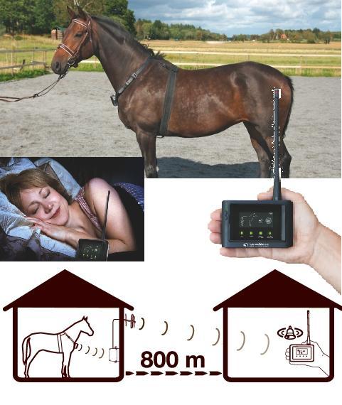 HORSE ALARM TM HORSE ALARM TM